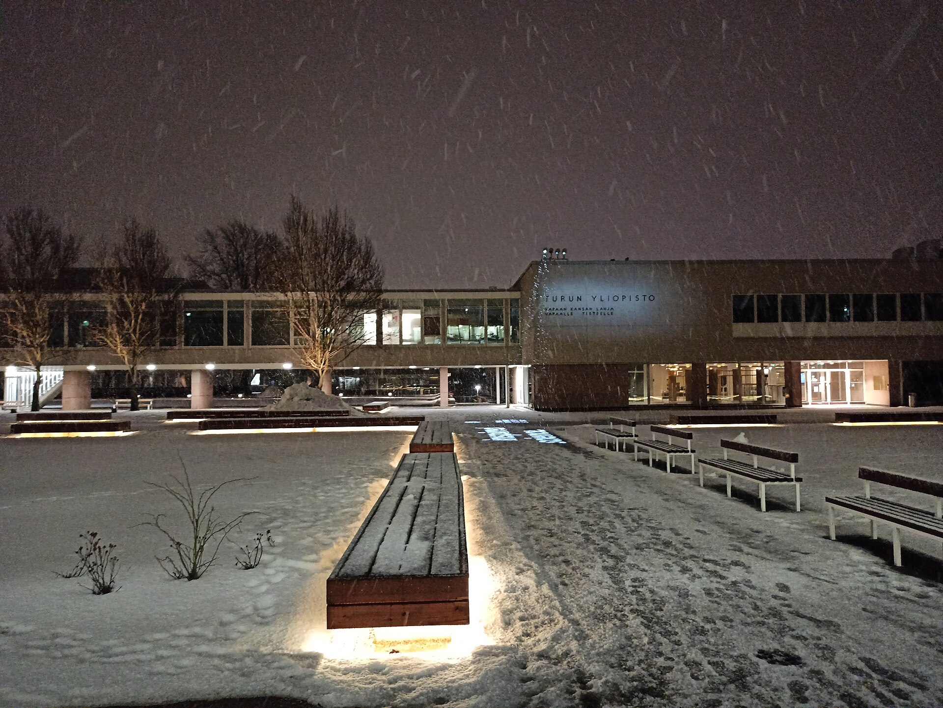 Turku Üniversitesi